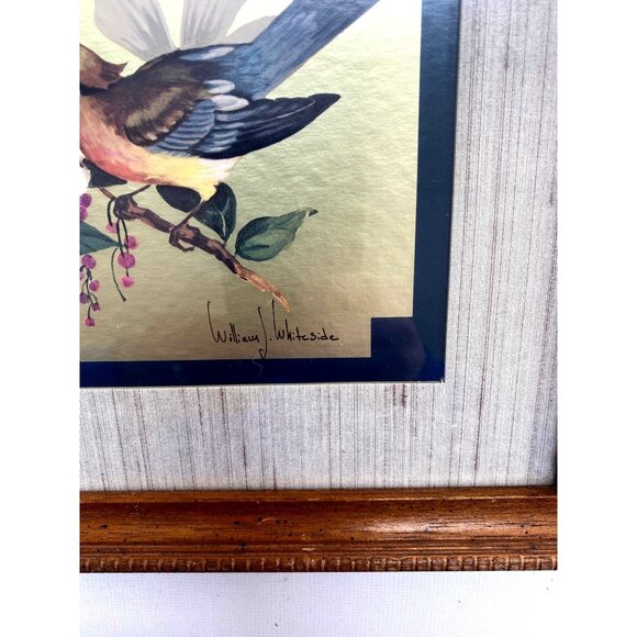 Vintage William J. Whiteside Birds on Dogwood Framed Art 1960's Print Gold Foil - Picture 4 of 15